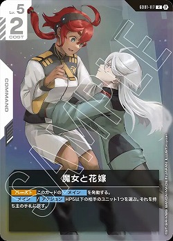 ※秋葉原店併用品 魔女と花嫁 【GCGGD01/117R】